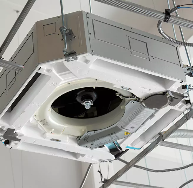 Why Homeowners & Businesses Trust Us in East Lake-Orient Park, FL?