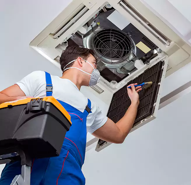 Why Homeowners & Businesses Trust Us in East Lake-Orient Park, FL