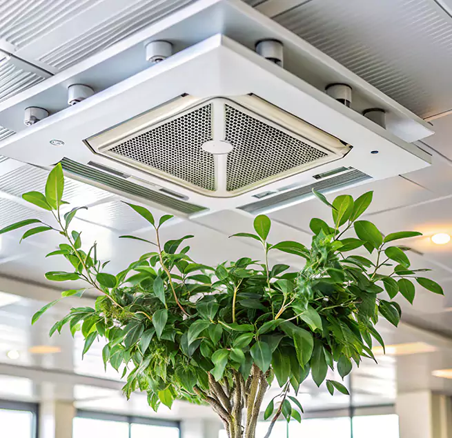 Why Homeowners & Businesses Trust Us in East Lake-Orient Park, FL?