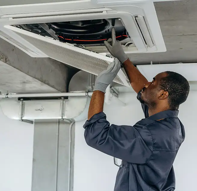 Why Homeowners & Businesses Trust Us in East Lake-Orient Park, FL?