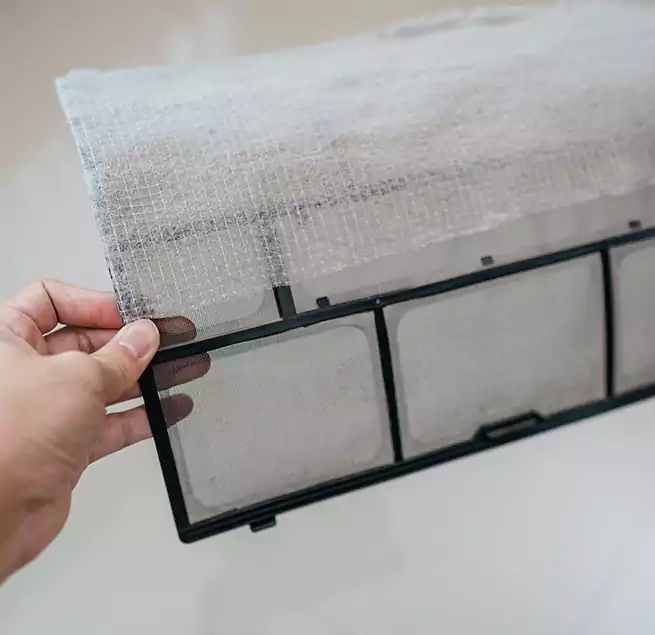 Why Homeowners & Businesses Trust Us in East Lake-Orient Park, FL?