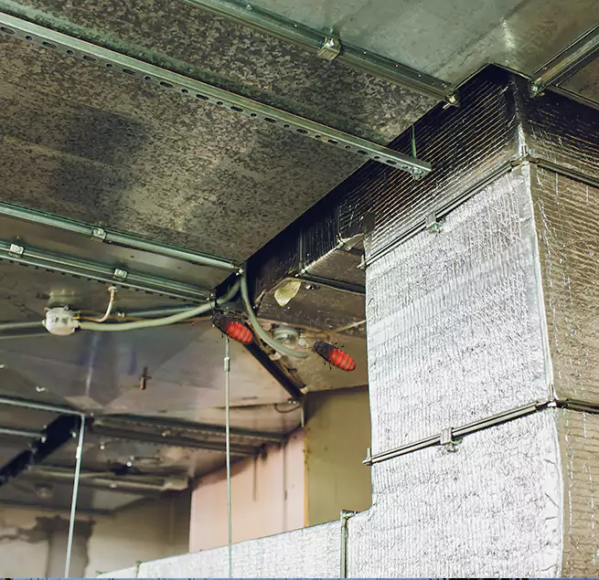 Why Homeowners & Businesses Trust Us East Lake-Orient Park, FL?