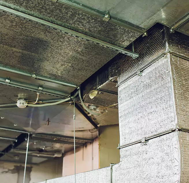 Why Homeowners & Businesses Trust Us in East Lake-Orient Park, FL?