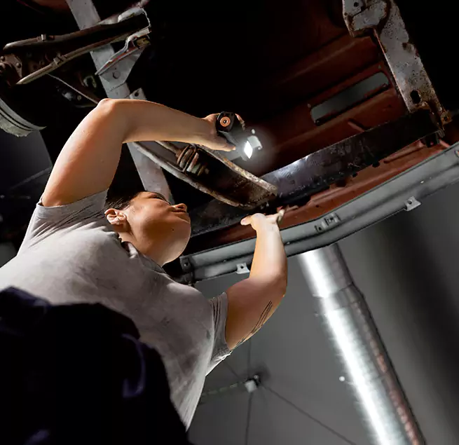 Why Homeowners & Businesses Trust Us East Lake-Orient Park, FL