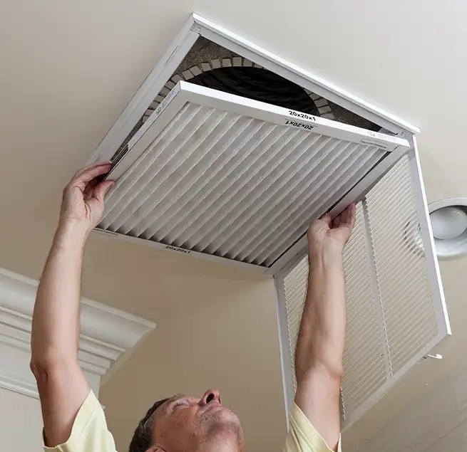 Why Homeowners & Businesses Trust Us in East Lake-Orient Park, FL?