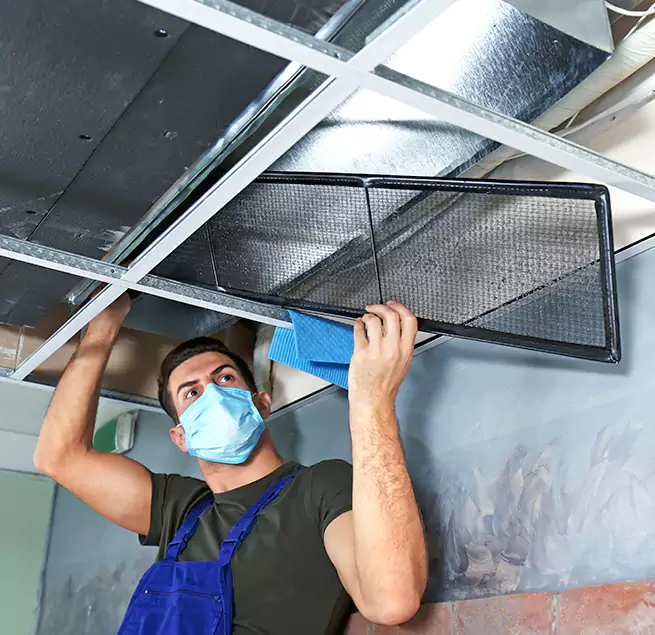 Why Homeowners & Businesses Trust Us in East Lake-Orient Park, FL?