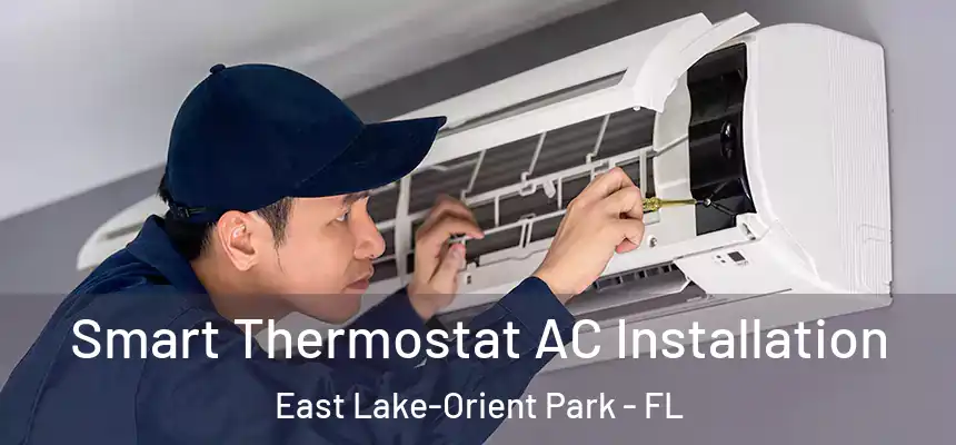  Smart Thermostat AC Installation East Lake-Orient Park - FL
