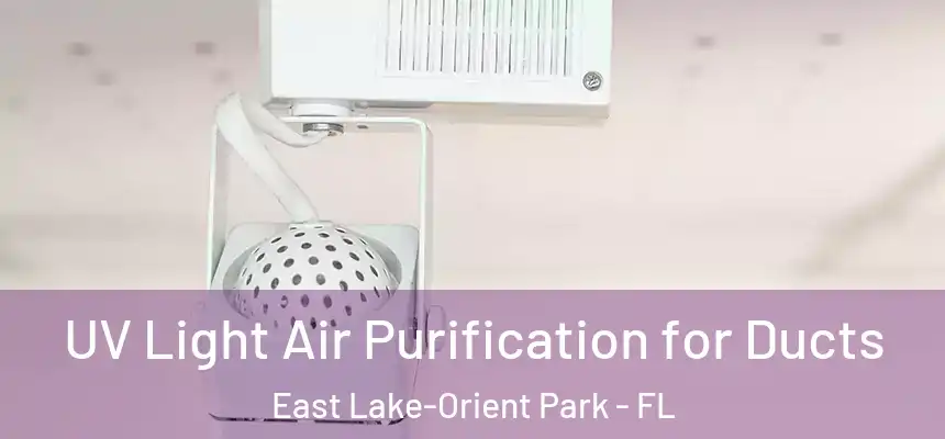 UV Light Air Purification for Ducts East Lake-Orient Park - FL