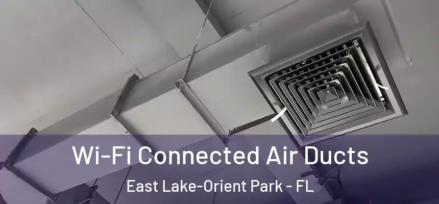 Wi-Fi Connected Air Ducts East Lake-Orient Park - FL